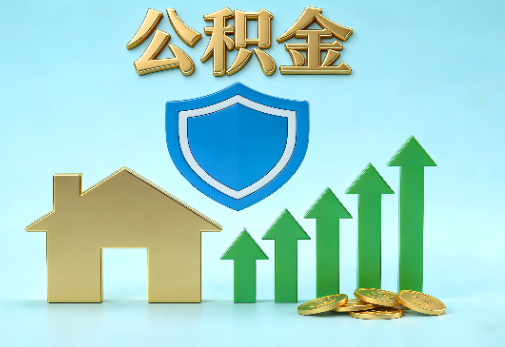 舒兰当前住房公积金提取条件分类指南与政策趋势
